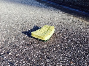 sponge on the road