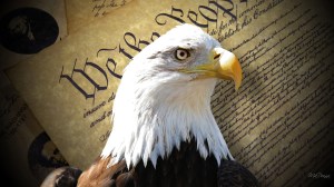 eagle-of-freedom-31539