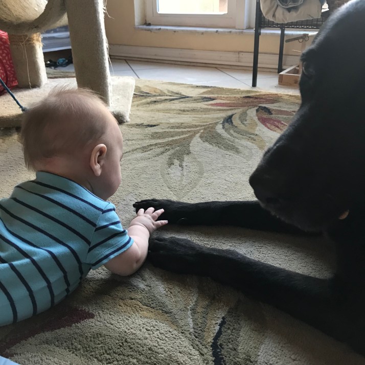 325xpAUERdKaBNwe257SpA