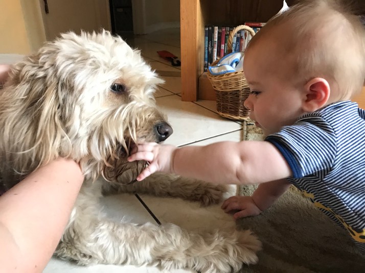 GZ9wojPiR+uwCUeIxWm7CA