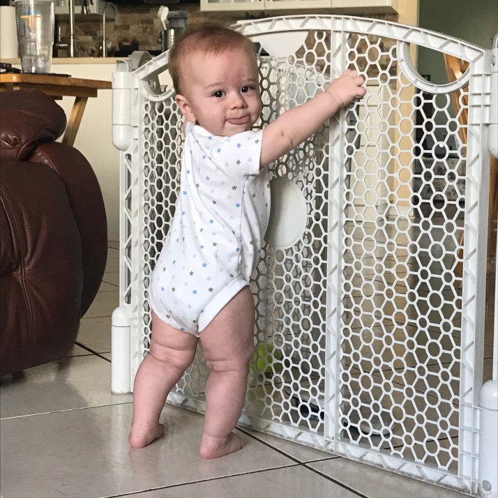 xy+NaiZ5SBibbrRWXUJb0g