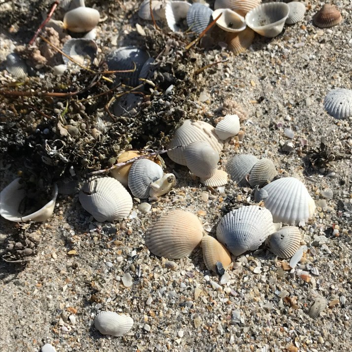 MMLF83RvTEipL7F8wlCnGg