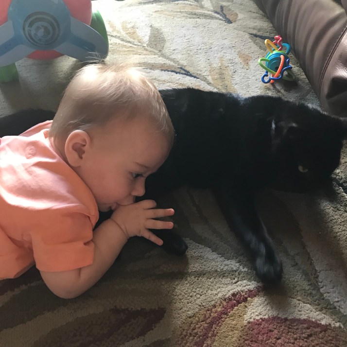 LLIW+lRCRBSRCaKubl4MWQ