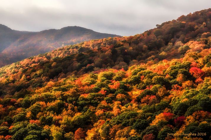 Preston Hughes parkway