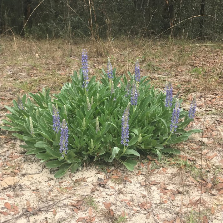 B3jq+cIsSoGVG2K%M2uIkw