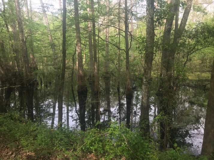 dkq%wFtpSK2z5+f6cGiNjg