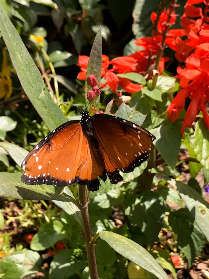 AB37BD5F-E80E-4BD4-8B73-01FCBDAB3893